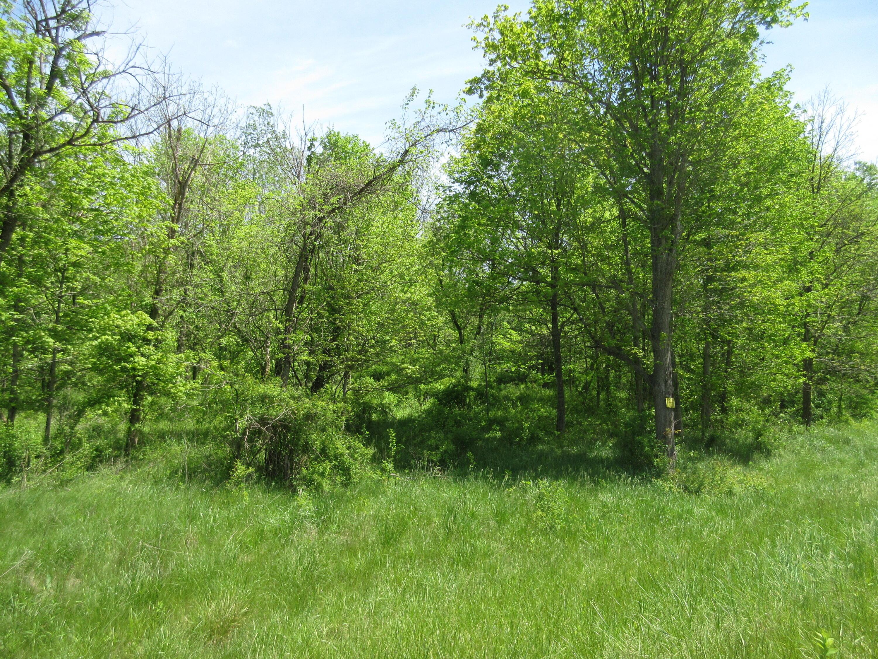 6800 Center Road Philo, OH 43771 - Photo 22 of 29 IMG_9075