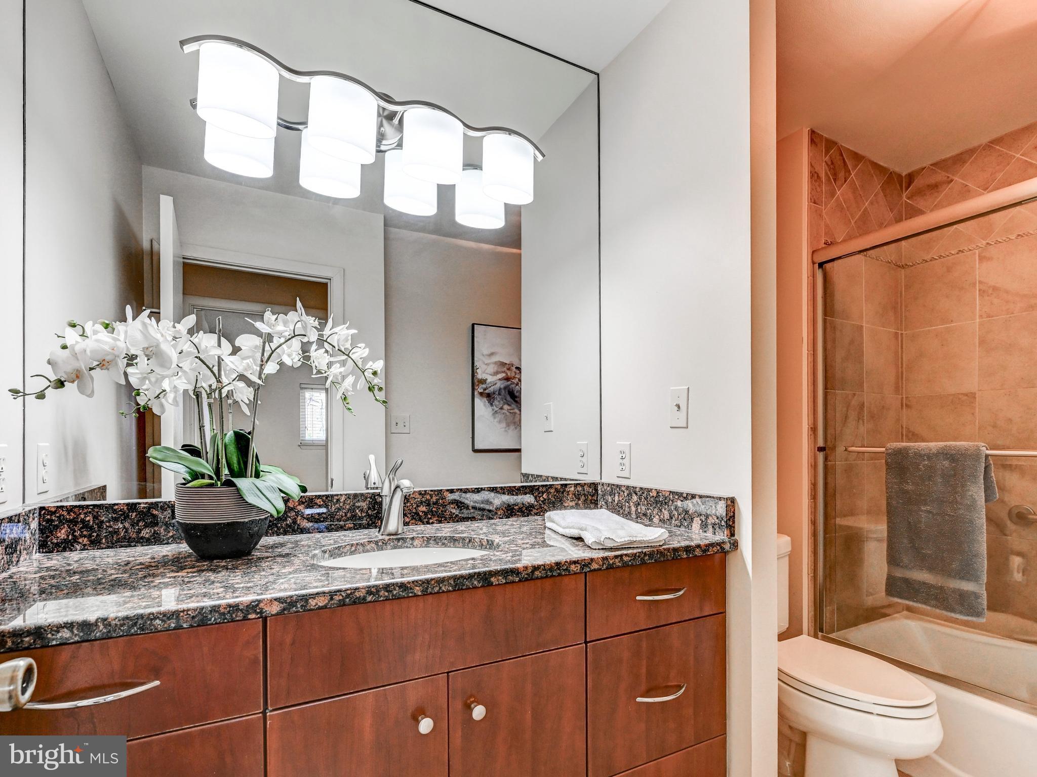 17 Pacers Lane, Unit F Pikesville, MD 21208 - Photo 22 of 24 Updated Hall Bath