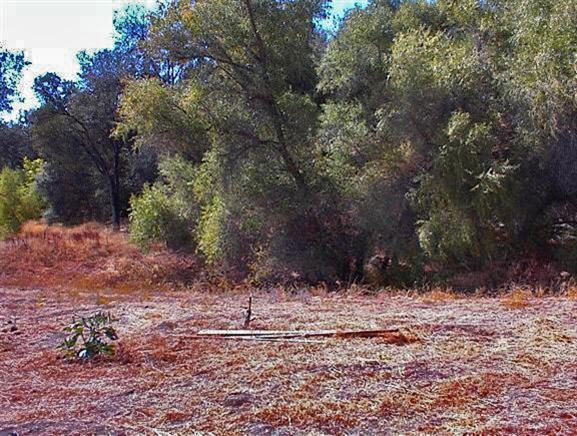 36200 Mistletoe Road Squaw Valley, CA 93675 - Photo 24 of 25 Gallery Image 24