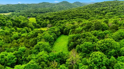 $1,249,900 | 427 Adams Road, Watertown, TN 37184