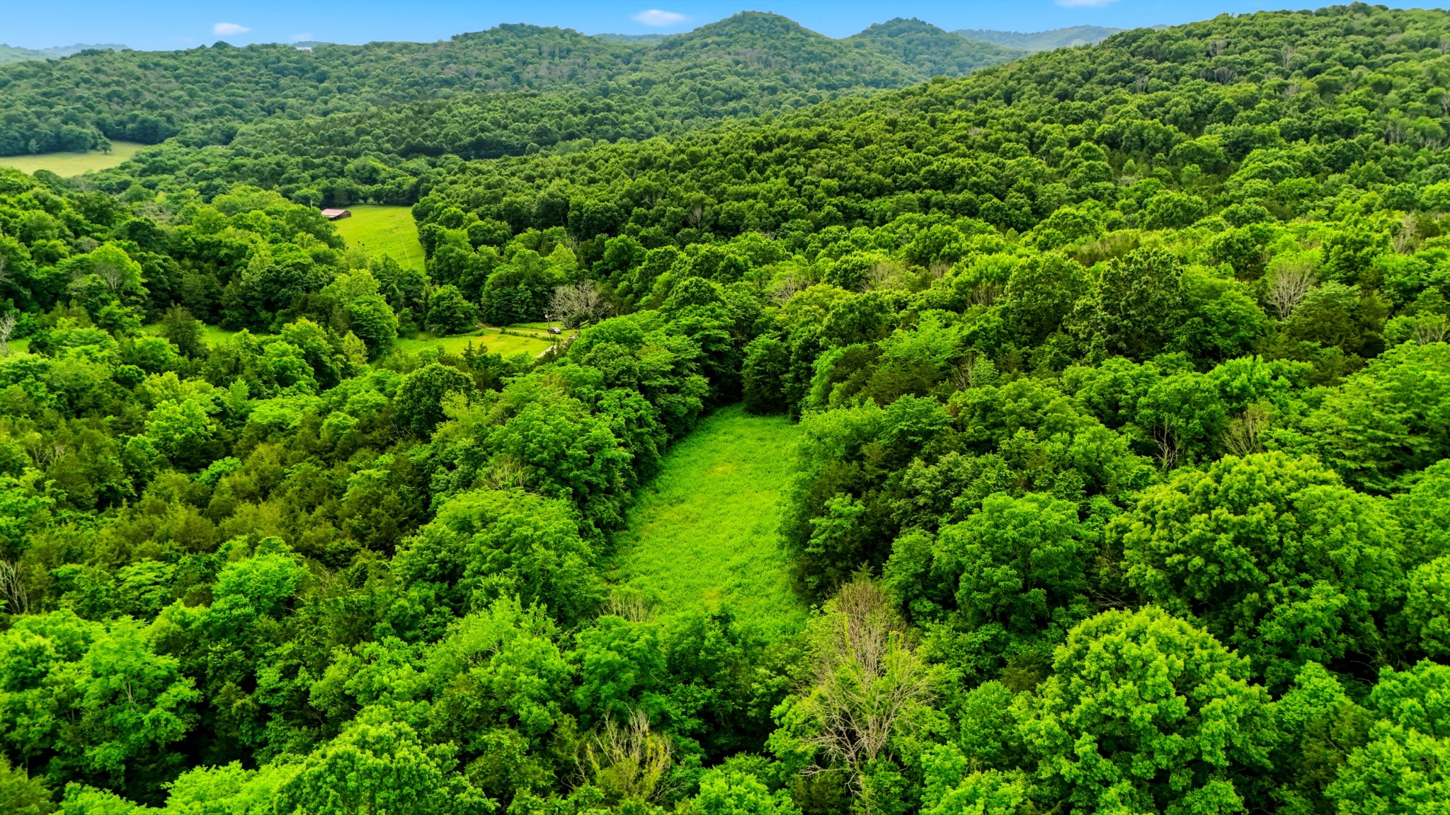 427 Adams Road Watertown, TN 37184 - Photo 10 of 68