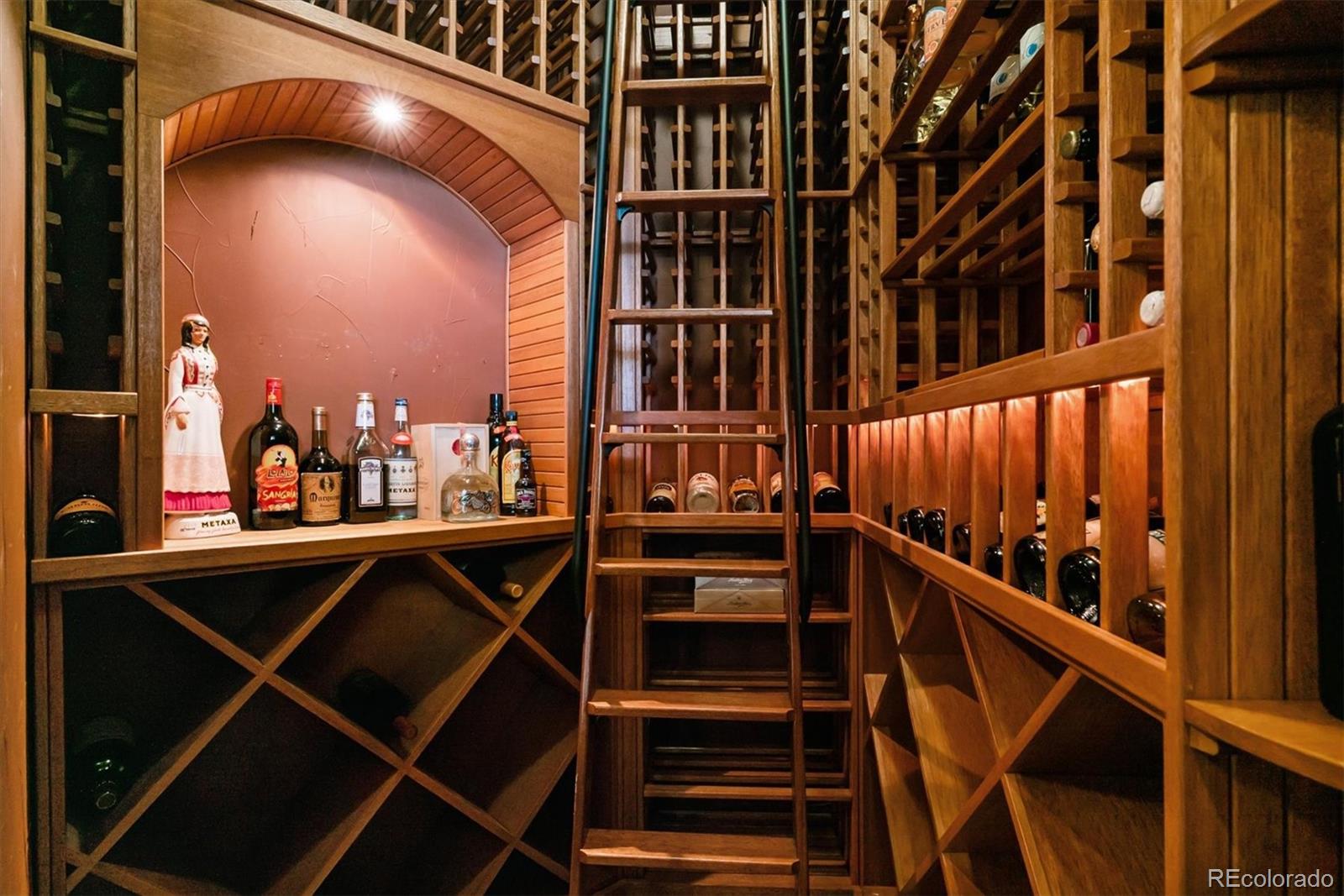 4872 Wilderness Place Parker, CO 80134 - Photo 42 of 50