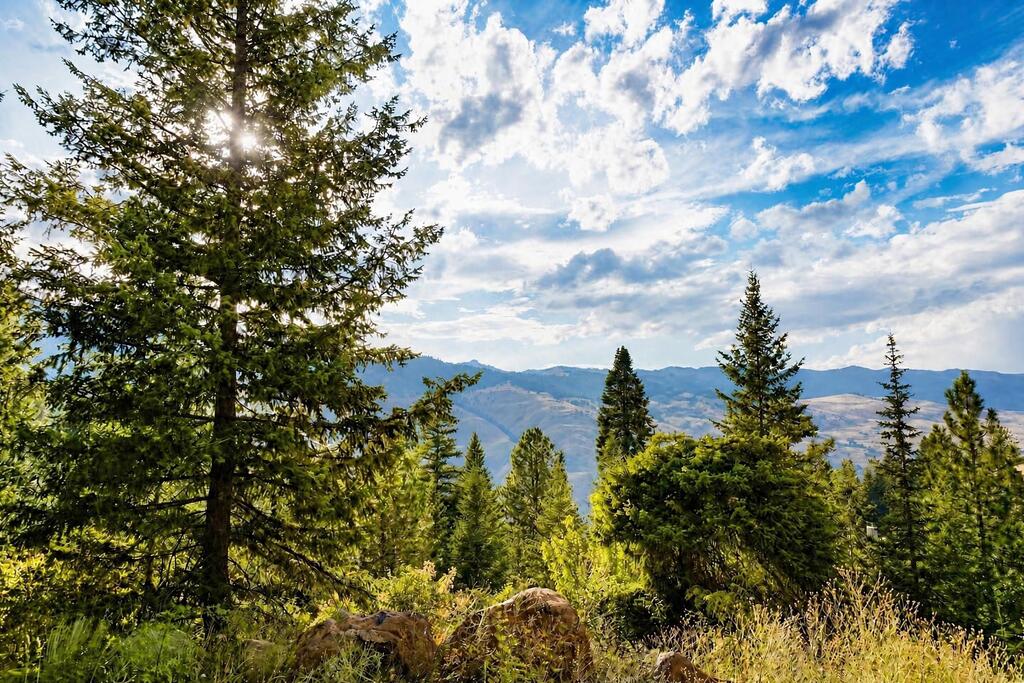 380 Denny Creek Road Pollock, ID 83547 - Photo 8 of 20 View from the property