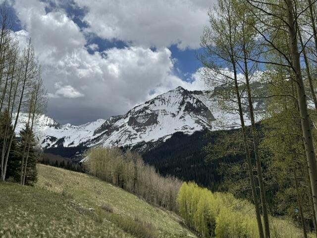 Lot 56 Trout Lake Road Ophir, CO 81426 - Photo 1 of 5 IMG_0629