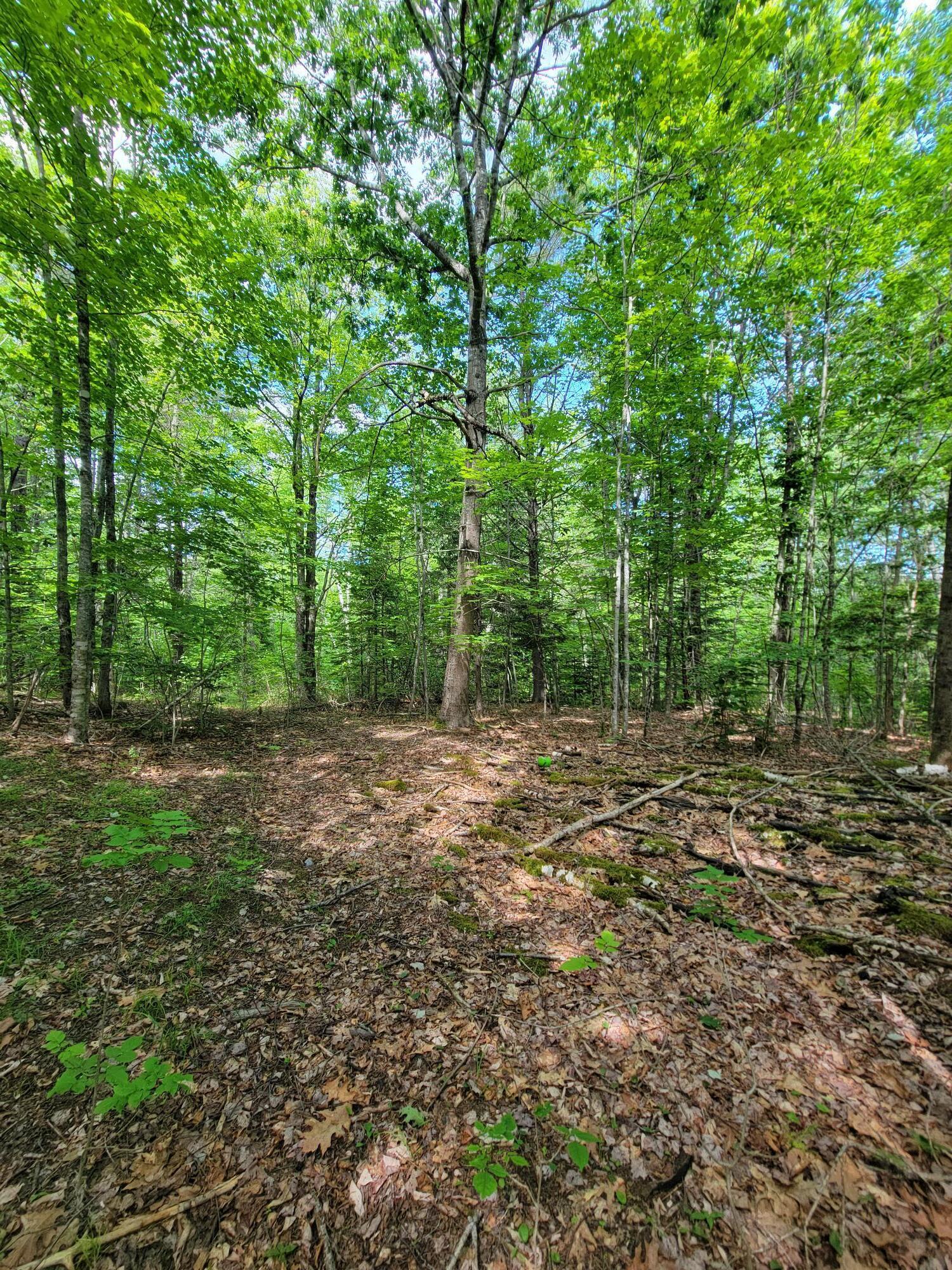 477 Hadley Mill Road Jackson, ME 04921 - Photo 21 of 32