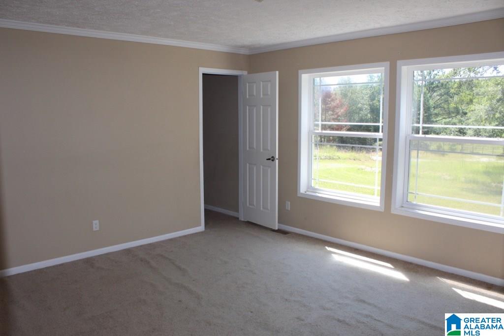 1303 Tipton Road Lincoln, AL 35096 - Photo 8 of 27