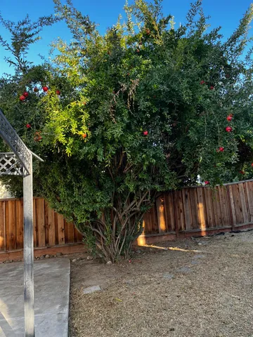 $465,000 | 1460 Portsmouth Lane, Gustine, CA 95322