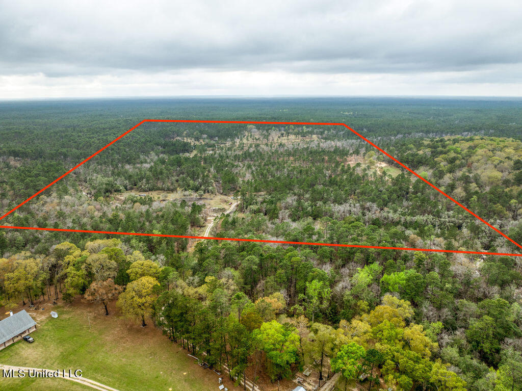 15429 Indian Fork Road Vancleave, MS 39565 - Photo 60 of 63 Arial of Land