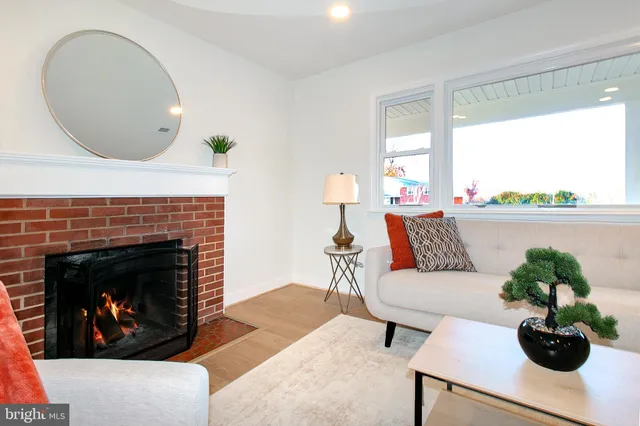 a living room with furniture a fireplace and a potted plant