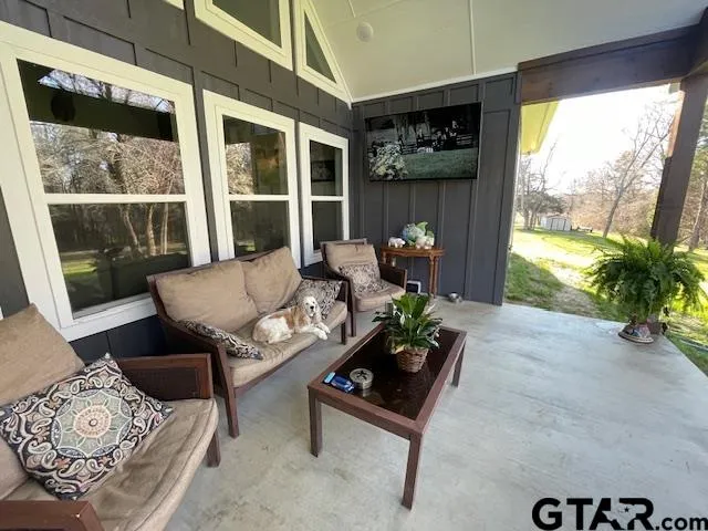 a view of a yard with plants
