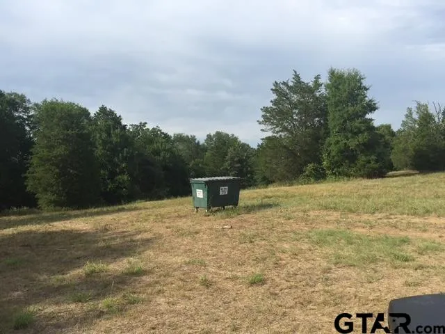 a view of a dry yard with trees