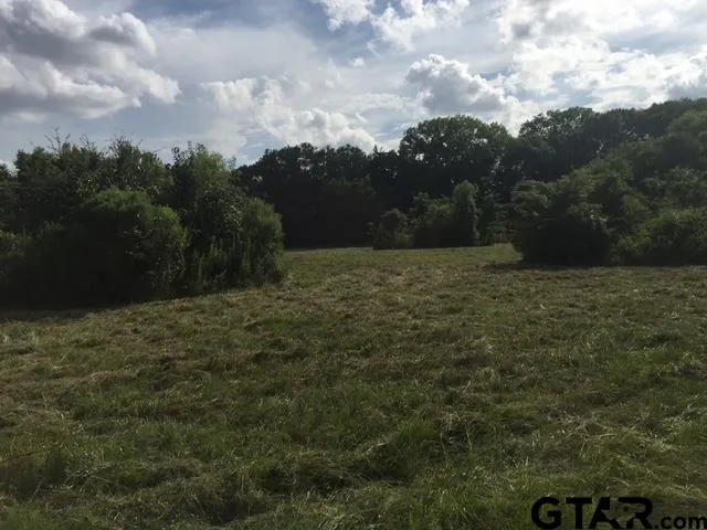 a big yard with lots of green space