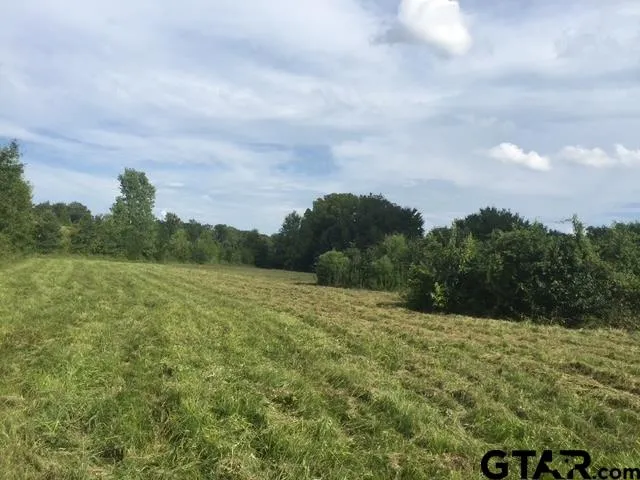 a view of outdoor space with trees all around