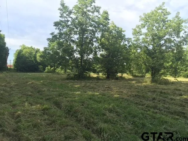 a yard with swimming pool and green space