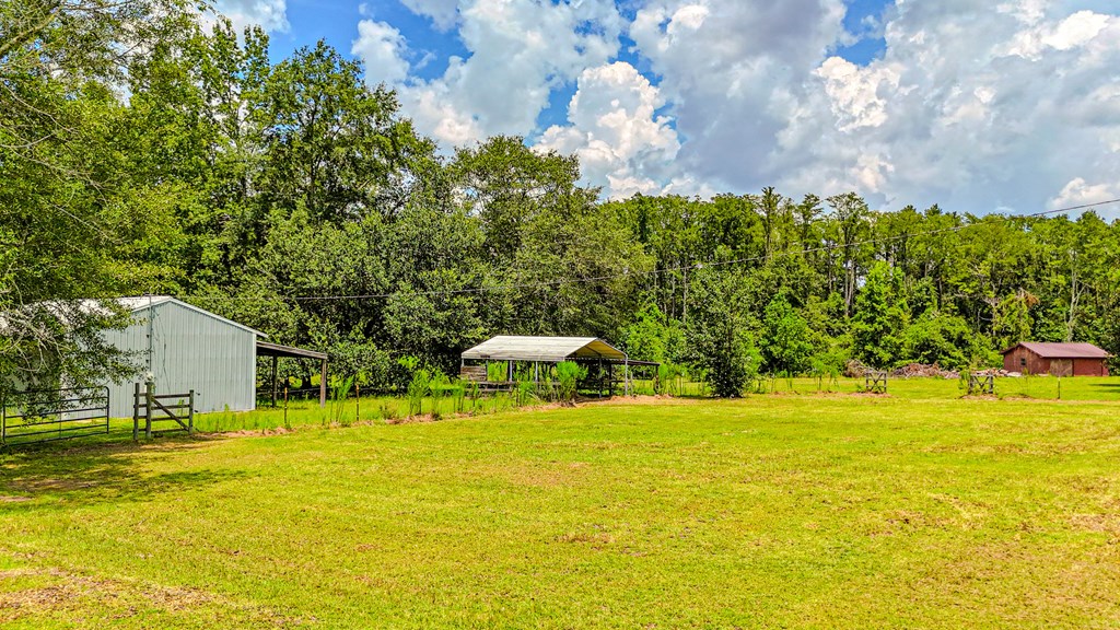 3271 Willie Varnum Road Dothan, AL 36301 - Photo 38 of 41 Pasture