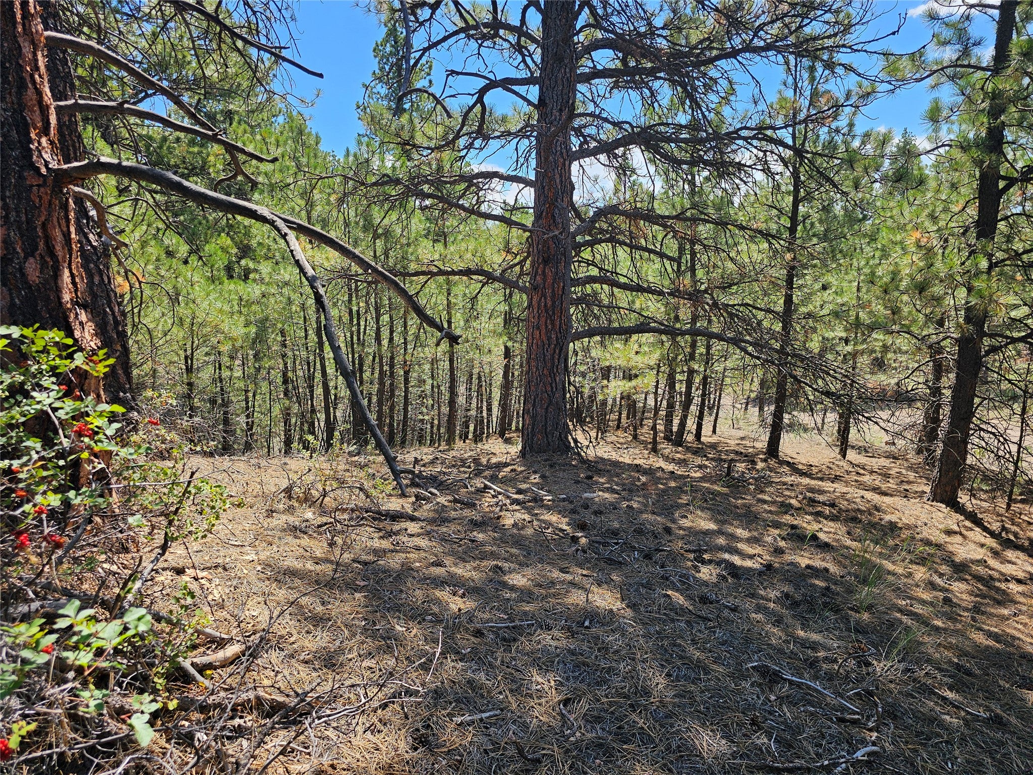Nhn Upper Sawmill Creek Road Cascade, MT 59421 - Photo 27 of 28 Gallery Image 27