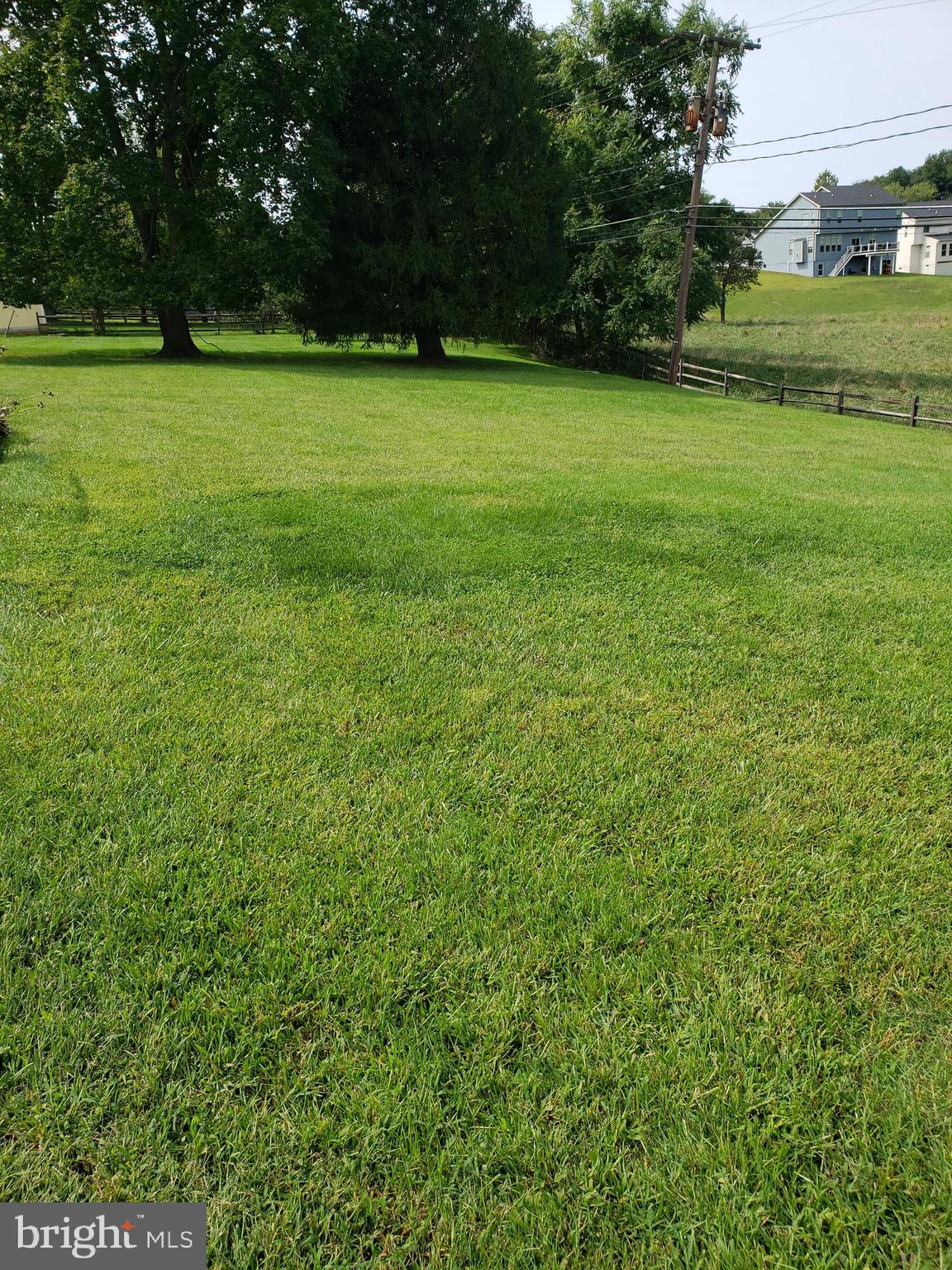 1114 Ryegate Road Baltimore, MD 21286 - Photo 2 of 3 Large Back Yard