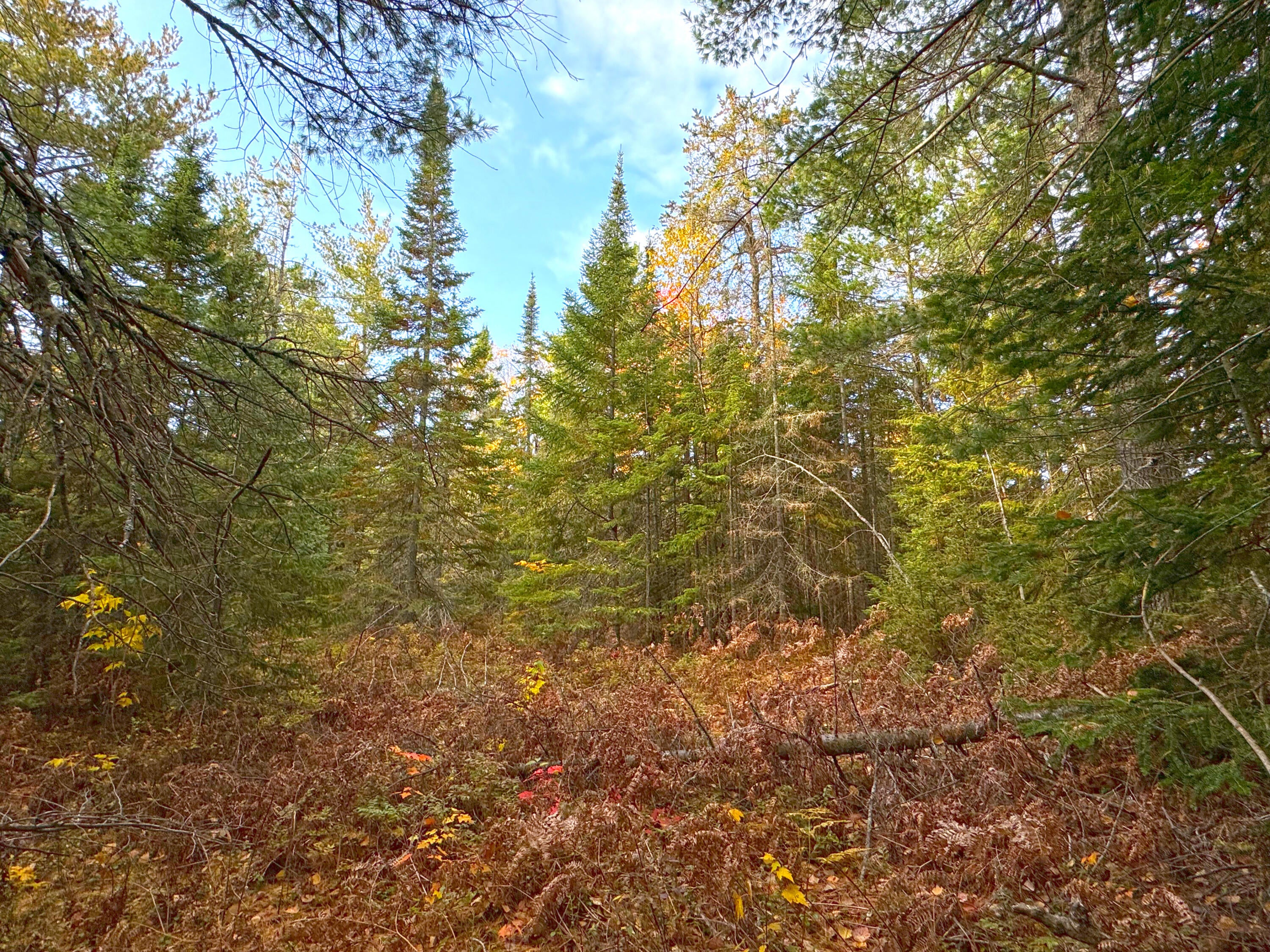 14859 North Whitefish Point Road Paradise, MI 49768 - Photo 1 of 14 Gallery Image 1
