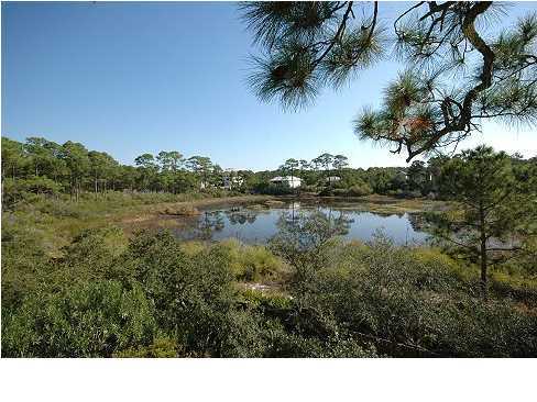 228 Hidden Lake Way Santa Rosa Beach, FL 32459 - Photo 8 of 11 a view of outdoor space and yard