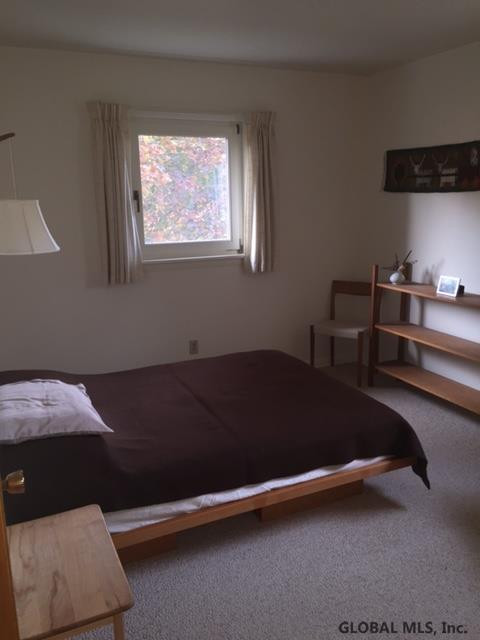 1028 Hickory Road Niskayuna, NY 12309 - Photo 16 of 25 Photo 16