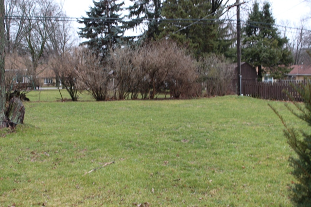 4303 West Crystal Lake Road McHenry, IL 60050 - Photo 2 of 11 Gallery Image 2