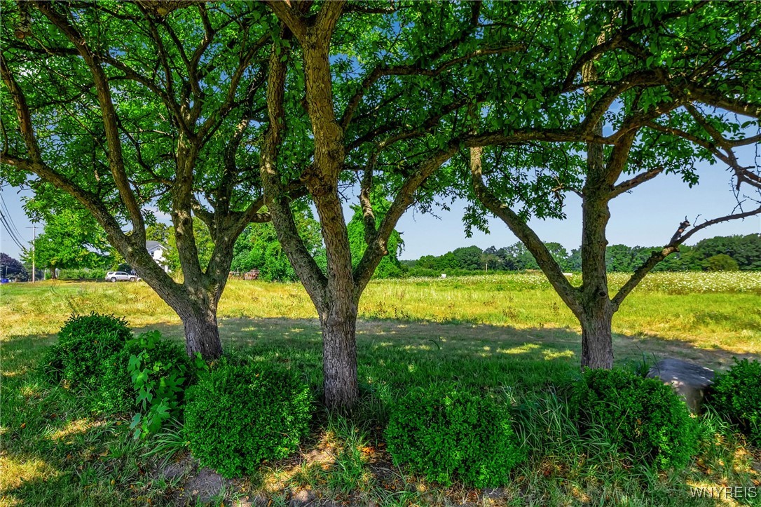 6623 North Road, Unit E Appleton, NY 14008 - Photo 18 of 19 3.2 acre building lot with lake access