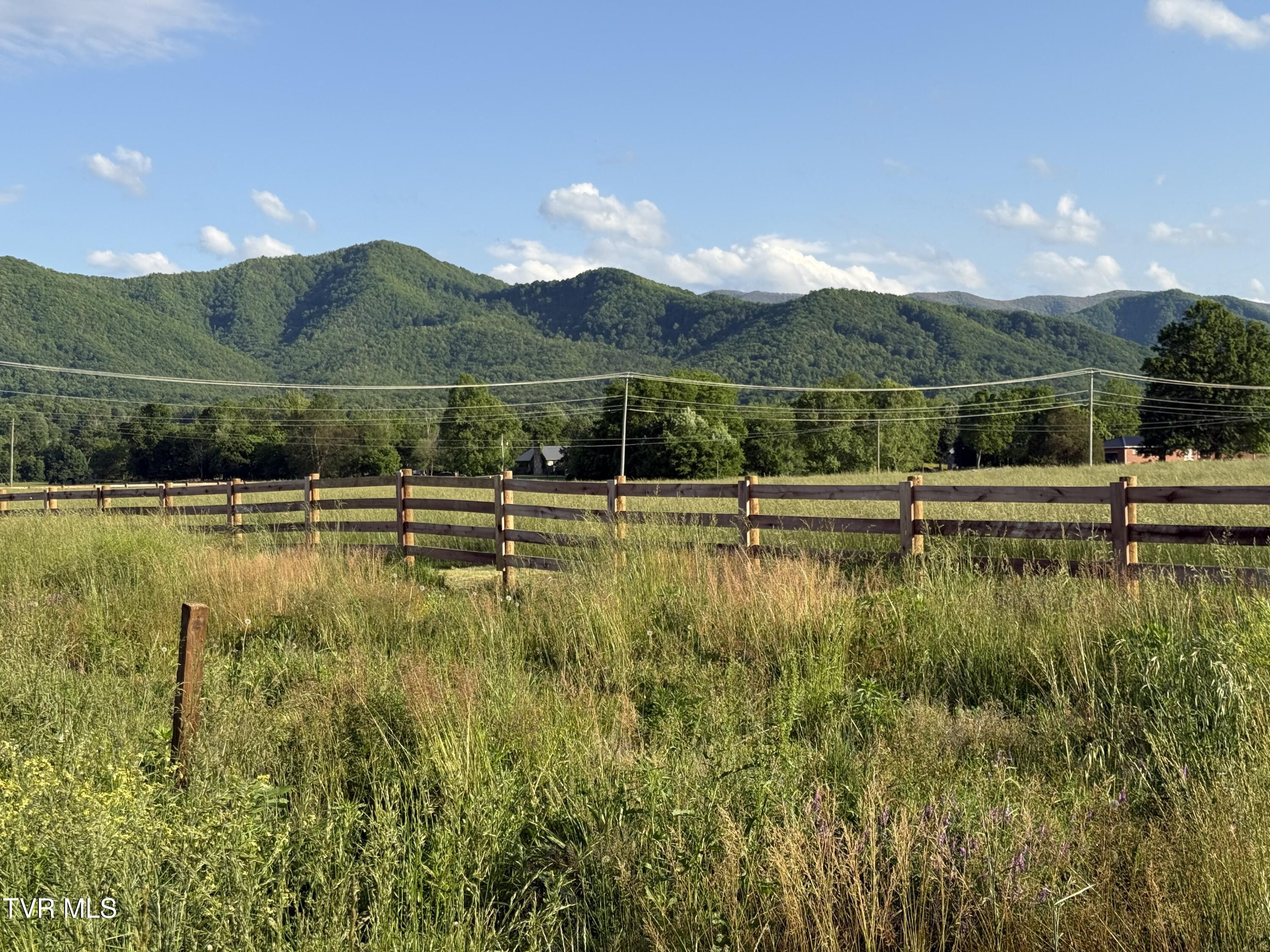 324 Bill Mauk Road Chuckey, TN 37641 - Photo 1 of 9 IMG_1891