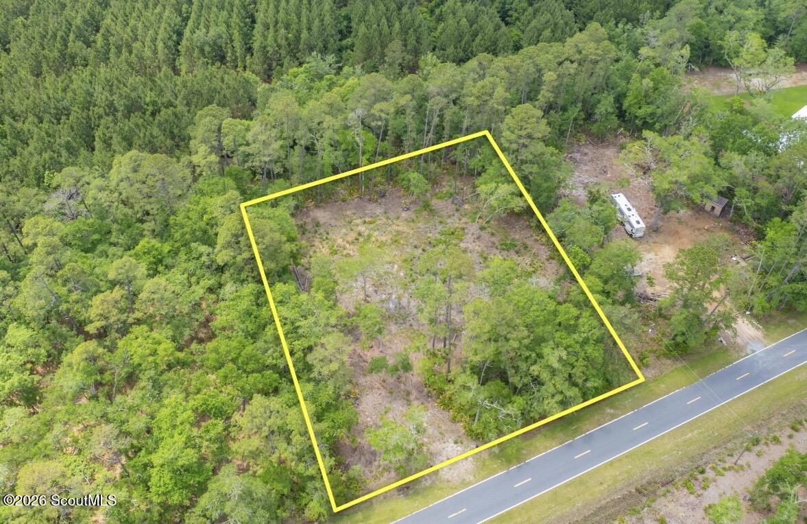 0 Piney Bluff Road Waverly, GA 31565 - Photo 4 of 26 Lot is on paved road