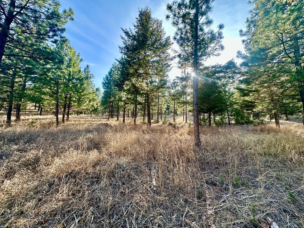 Tbd Martinez Gulch Road Clancy, MT 59634 - Photo 6 of 14 Gallery Image 6
