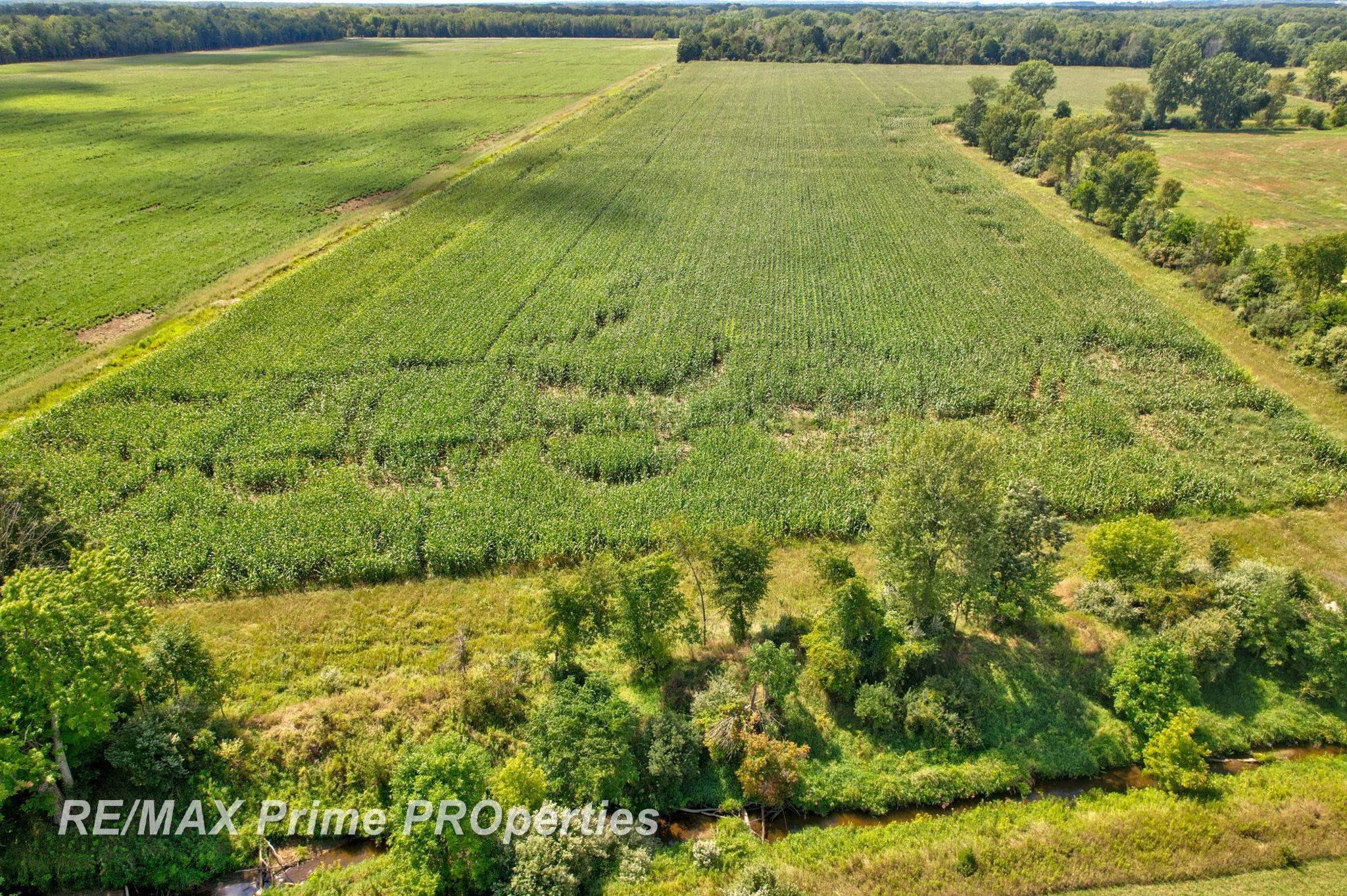 0 Cooklin Road Cass City, MI 48726 - Photo 19 of 32 Gallery Image 19