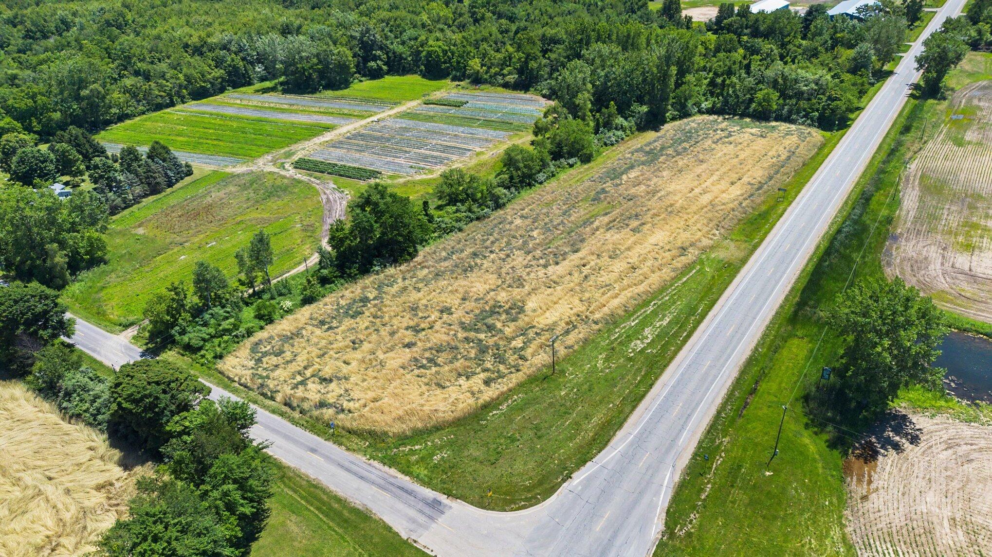 Vl Meadowbrook Road Eau Claire, MI 49111 - Photo 8 of 21 006_file_7503
