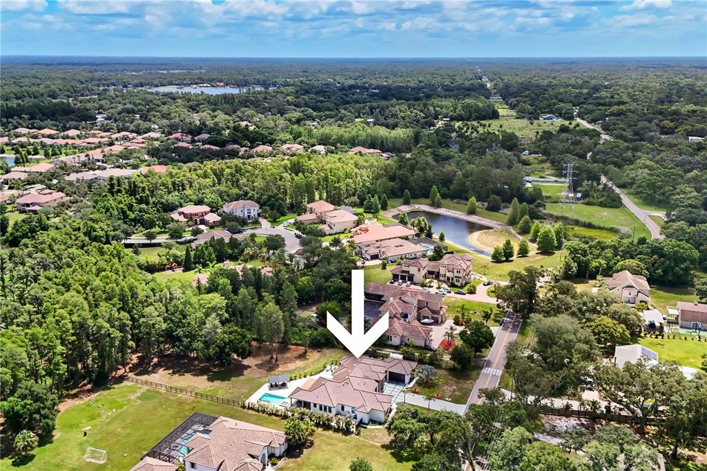 3317 Crenshaw Lake Road Lutz, FL 33548 - Photo 62 of 72