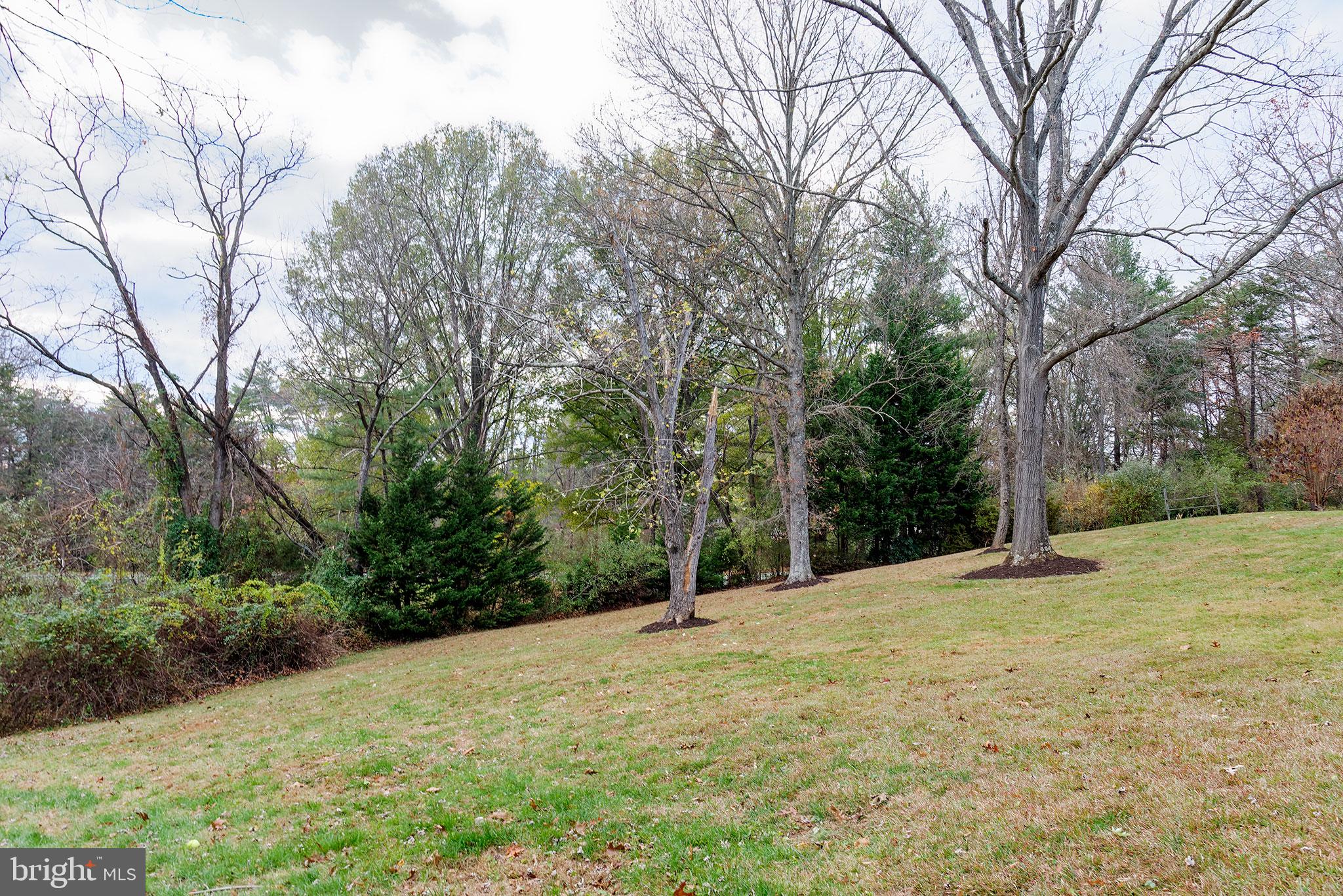 2122 Thomas View Road Reston, VA 20191 - Photo 42 of 45 Gallery Image 42