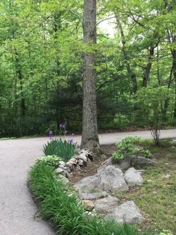 221 Carolina Back Road Charlestown, RI 02813 - Photo 3 of 20