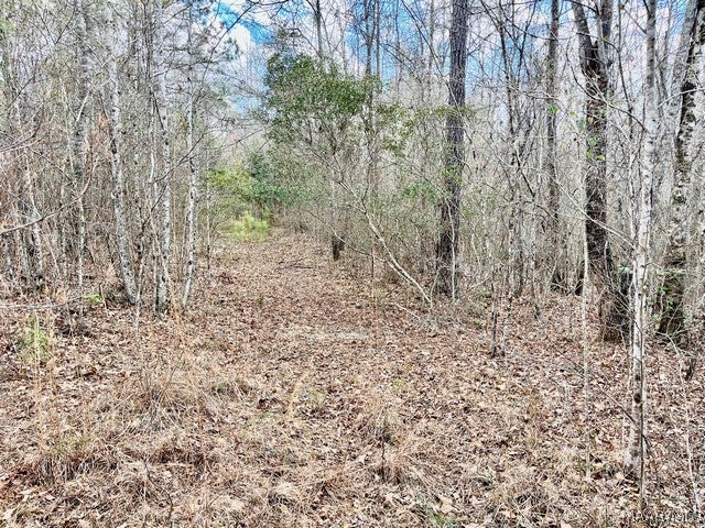 1530 Union Road Eclectic, AL 36024 - Photo 9 of 22 Gallery Image 9