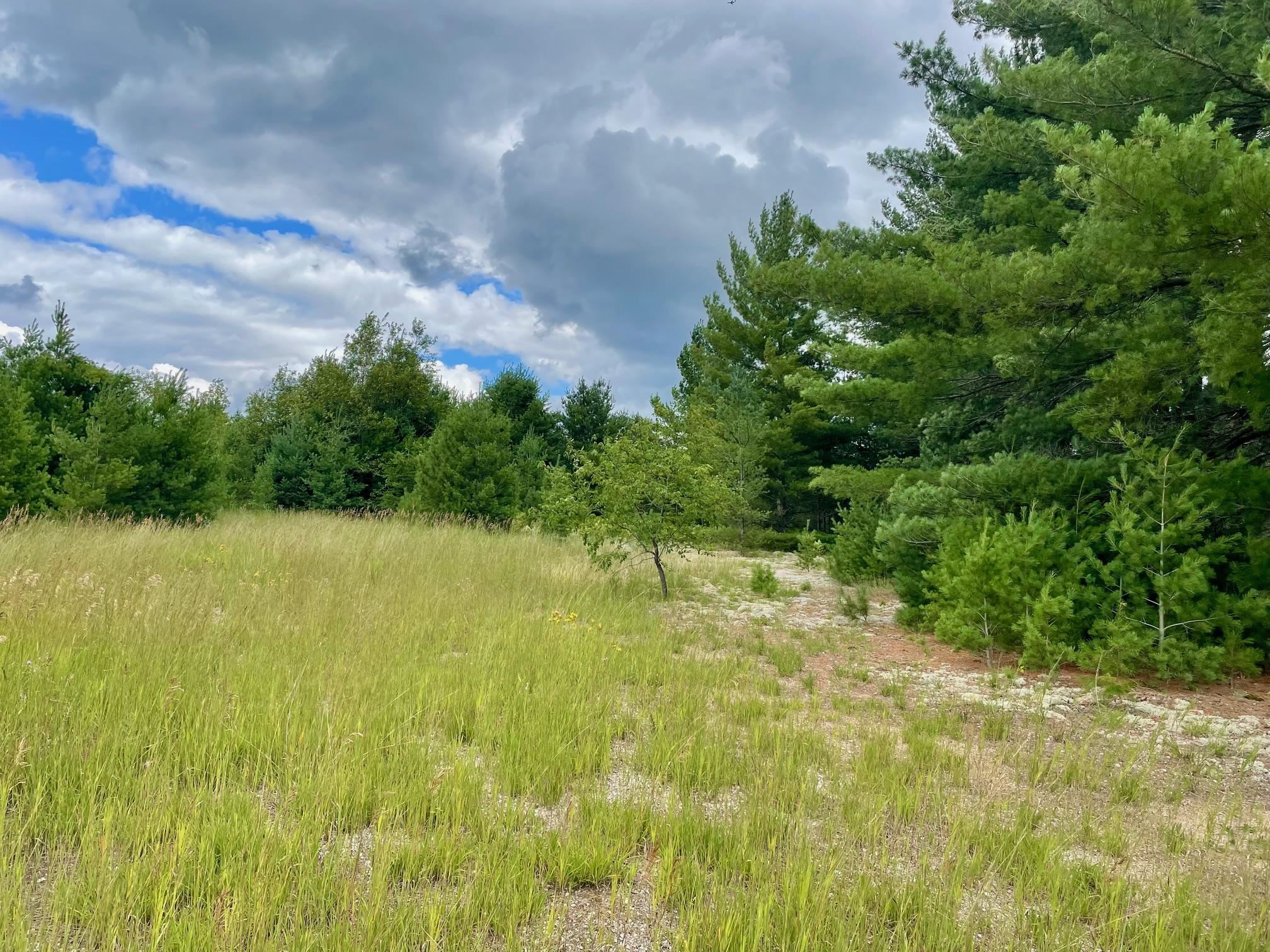 969-987 Quail Road Southwest Kalkaska, MI 49646 - Photo 2 of 14