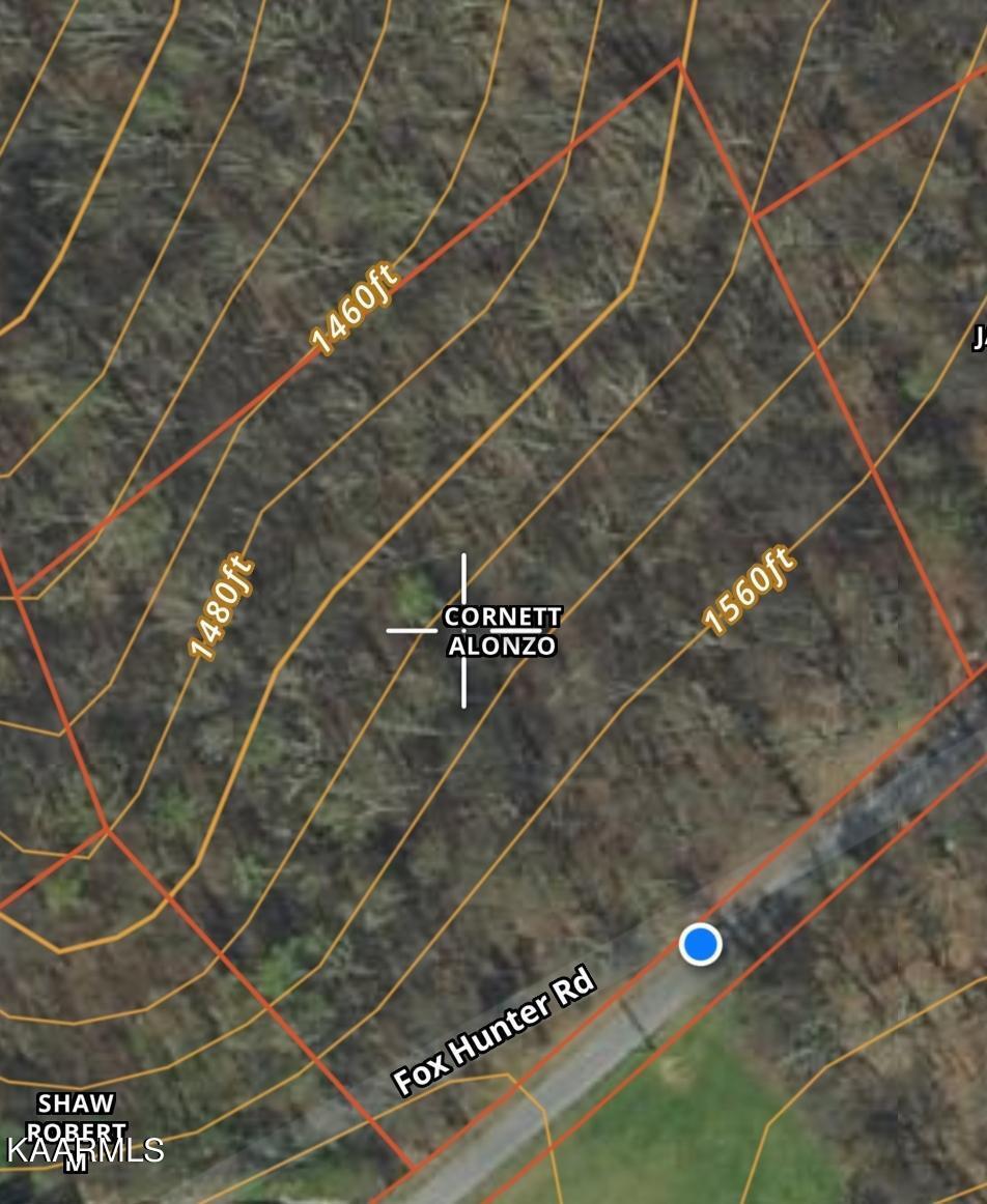 topo w satellite