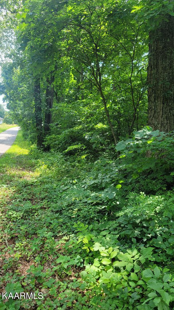 2.33-ac Fox Hunter Road Maynardville, TN 37807 - Photo 5 of 8 along road