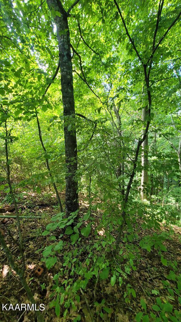 2.33-ac Fox Hunter Road Maynardville, TN 37807 - Photo 6 of 8 pic 1
