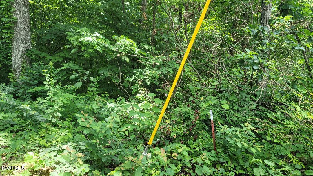 2.33-ac Fox Hunter Road Maynardville, TN 37807 - Photo 7 of 8 North corner prop line