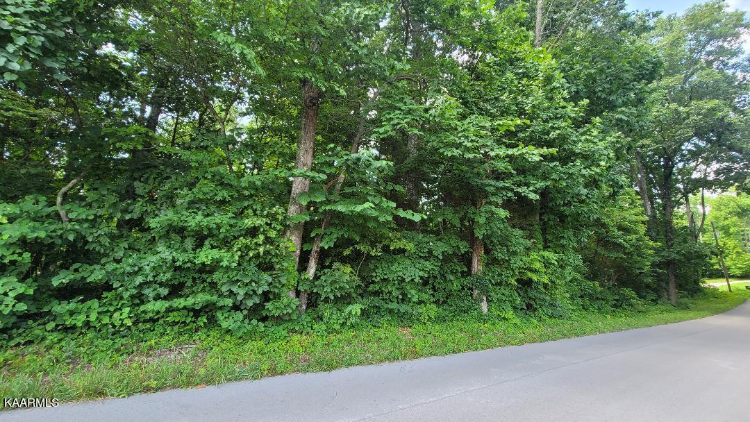 2.33-ac Fox Hunter Road Maynardville, TN 37807 - Photo 8 of 8 pic 3
