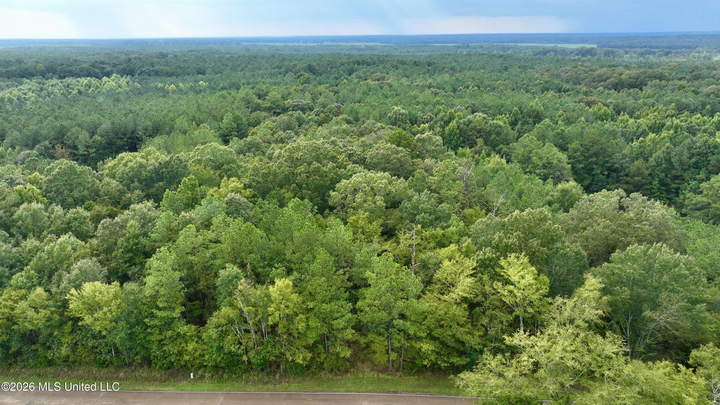 1 Tithelo Road Canton, MS 39046 - Photo 13 of 16 935BC1F9-6B11-439B-B6AD-EF62F1B4497A_1_2