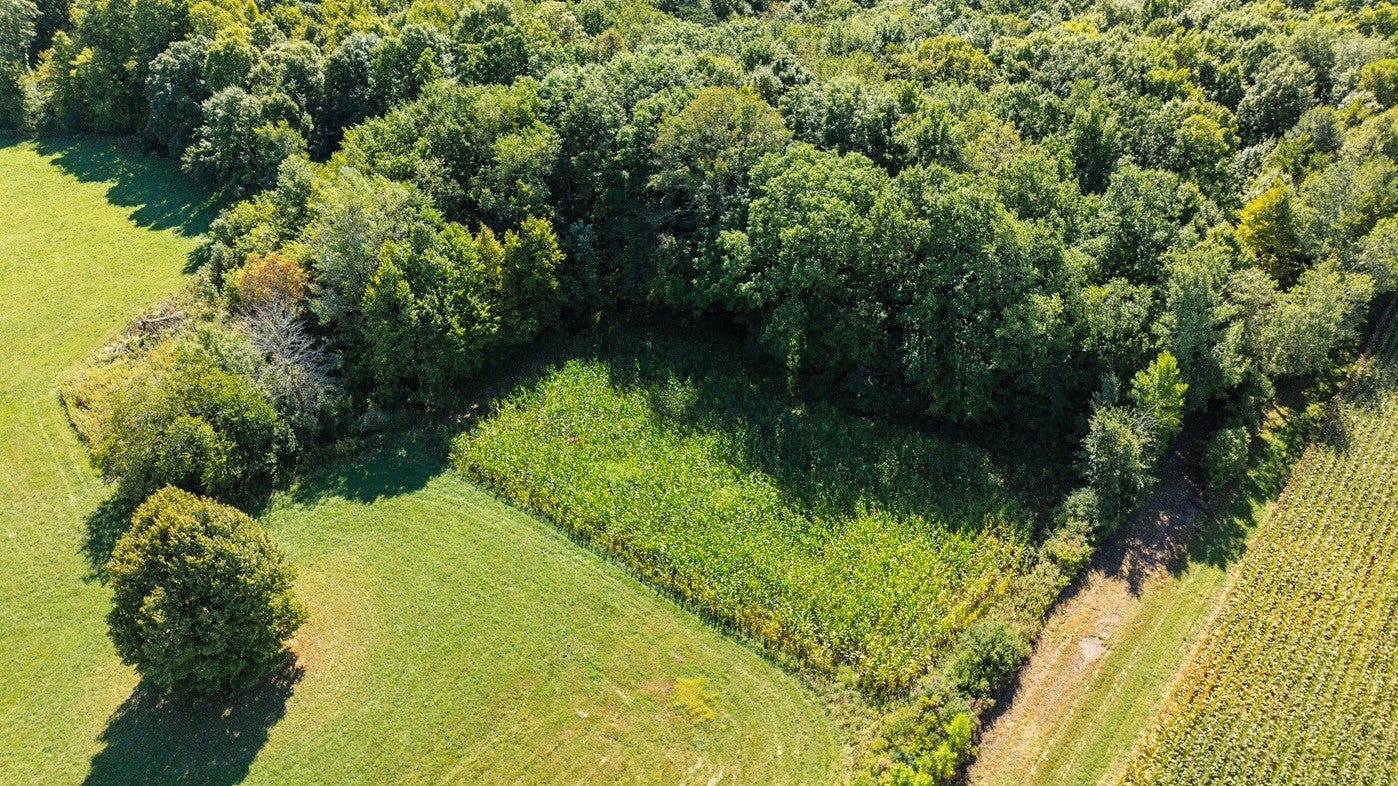 0 170th Street Spring Valley, WI 54767 - Photo 10 of 45 Gallery Image 10