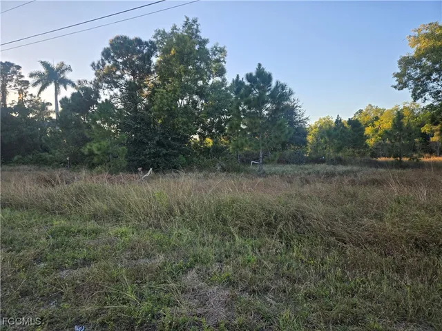 a view of a field with trees in background