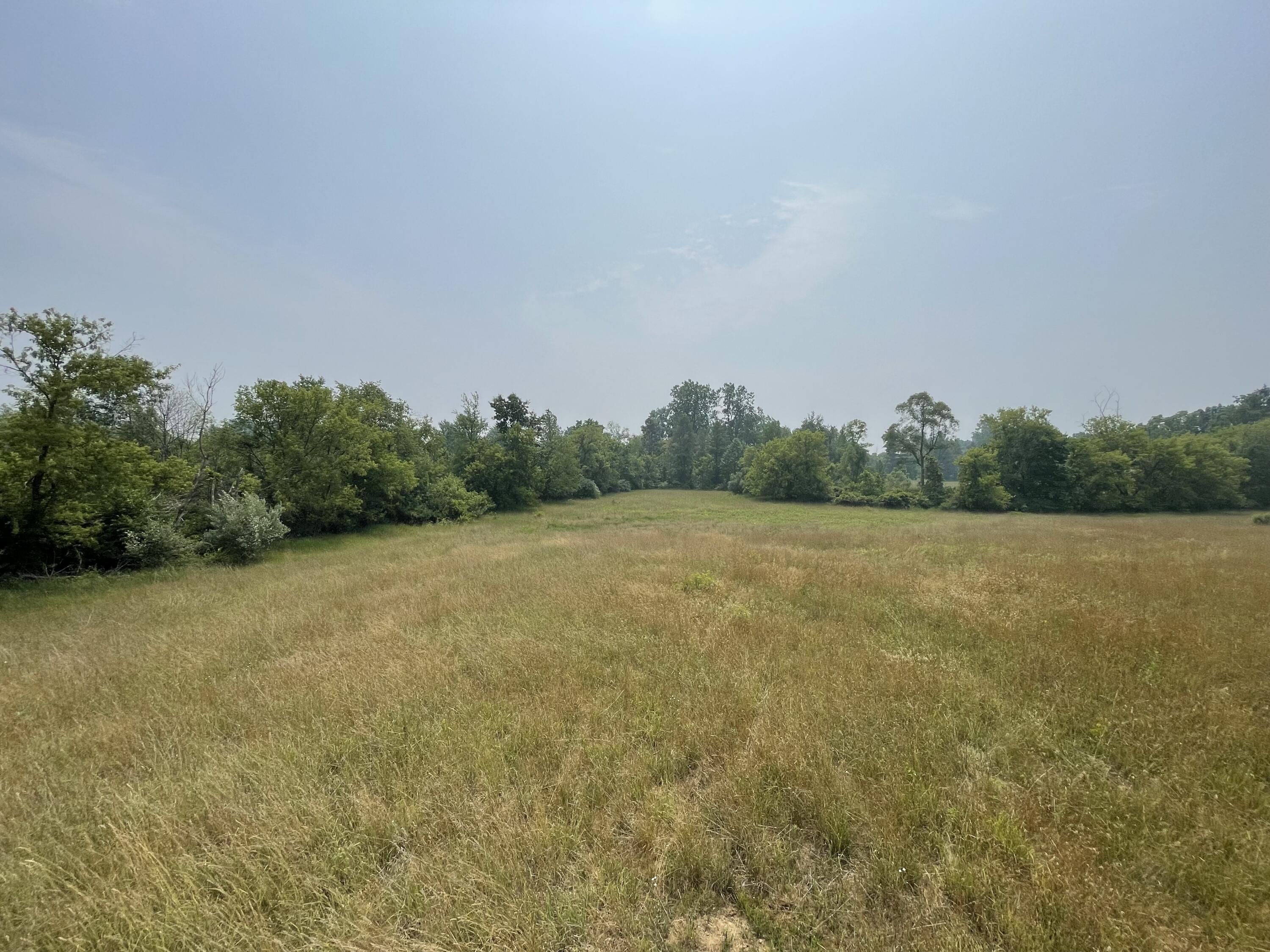 8620 Meridian Road Laingsburg, MI 48848 - Photo 18 of 31 19