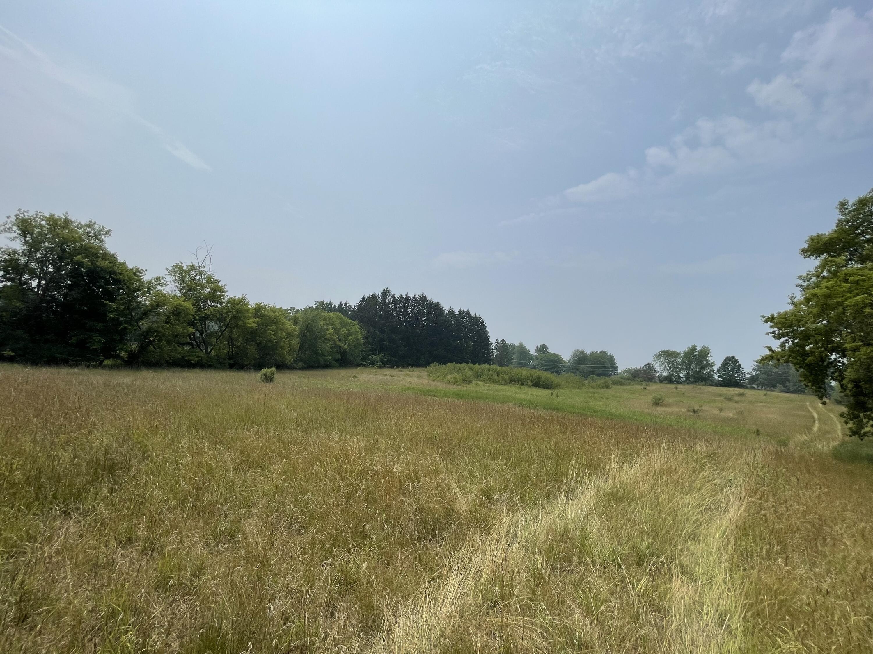 8620 Meridian Road Laingsburg, MI 48848 - Photo 2 of 31 18