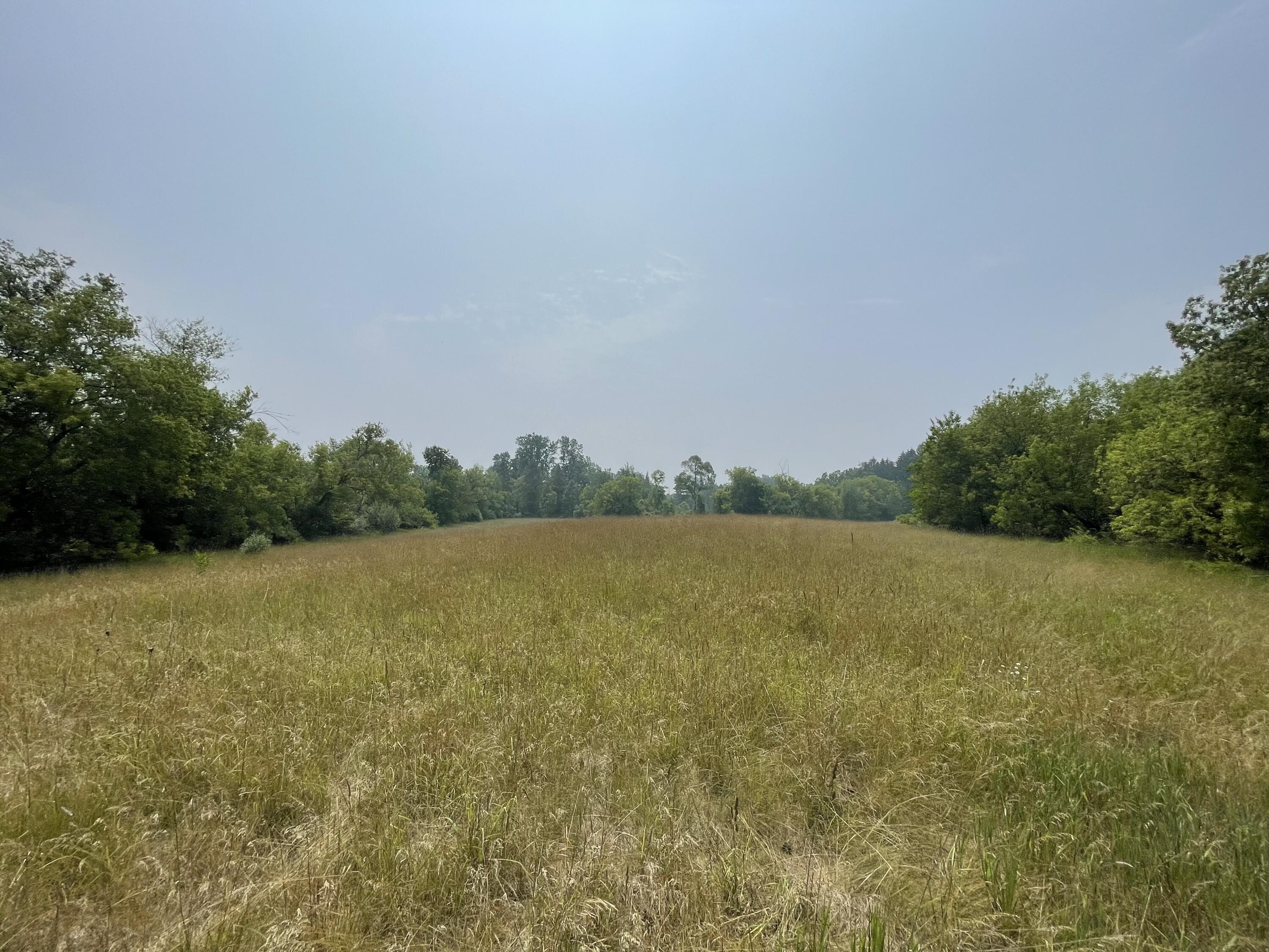 8620 Meridian Road Laingsburg, MI 48848 - Photo 21 of 31 22