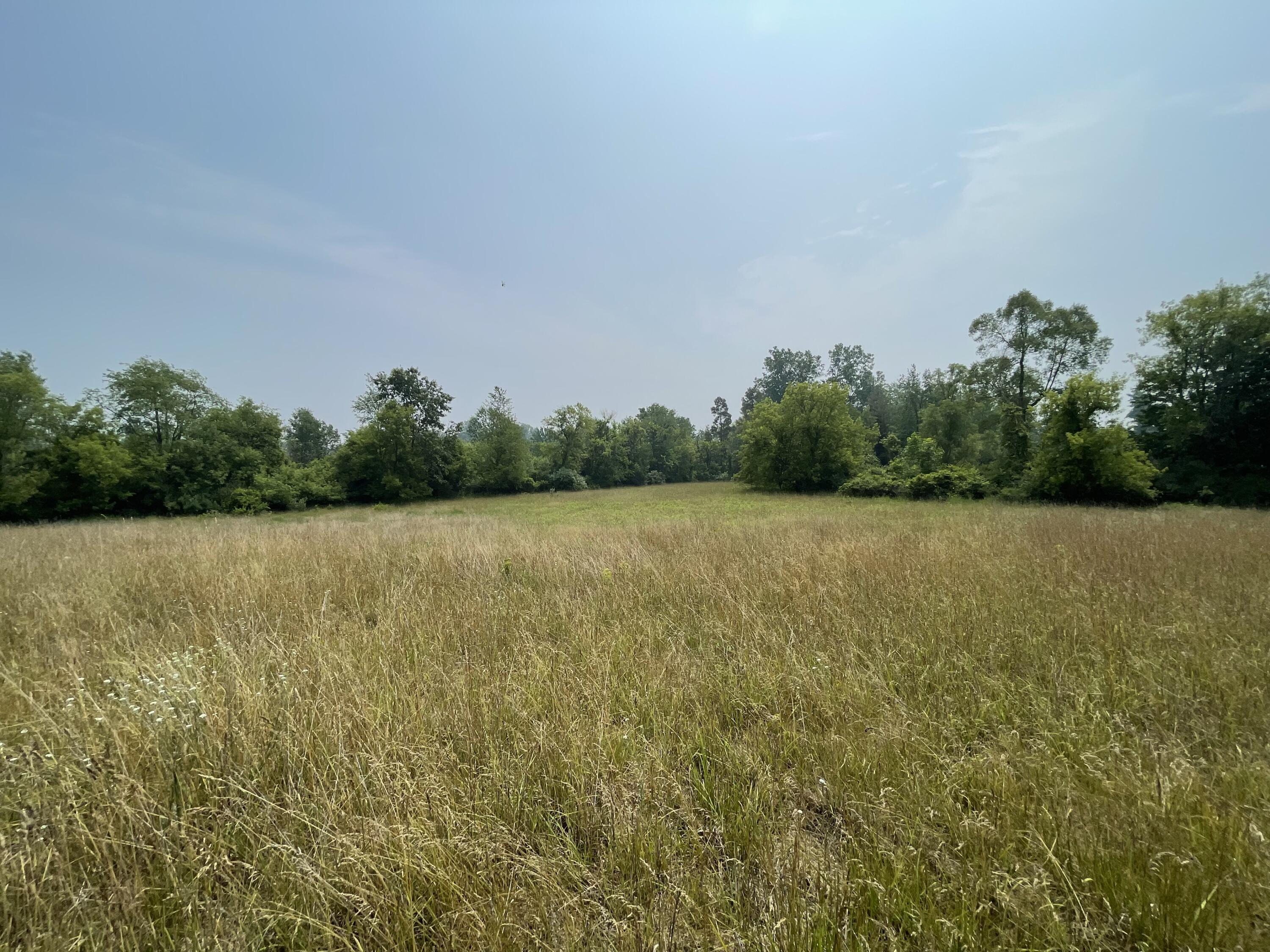 8620 Meridian Road Laingsburg, MI 48848 - Photo 23 of 31 23