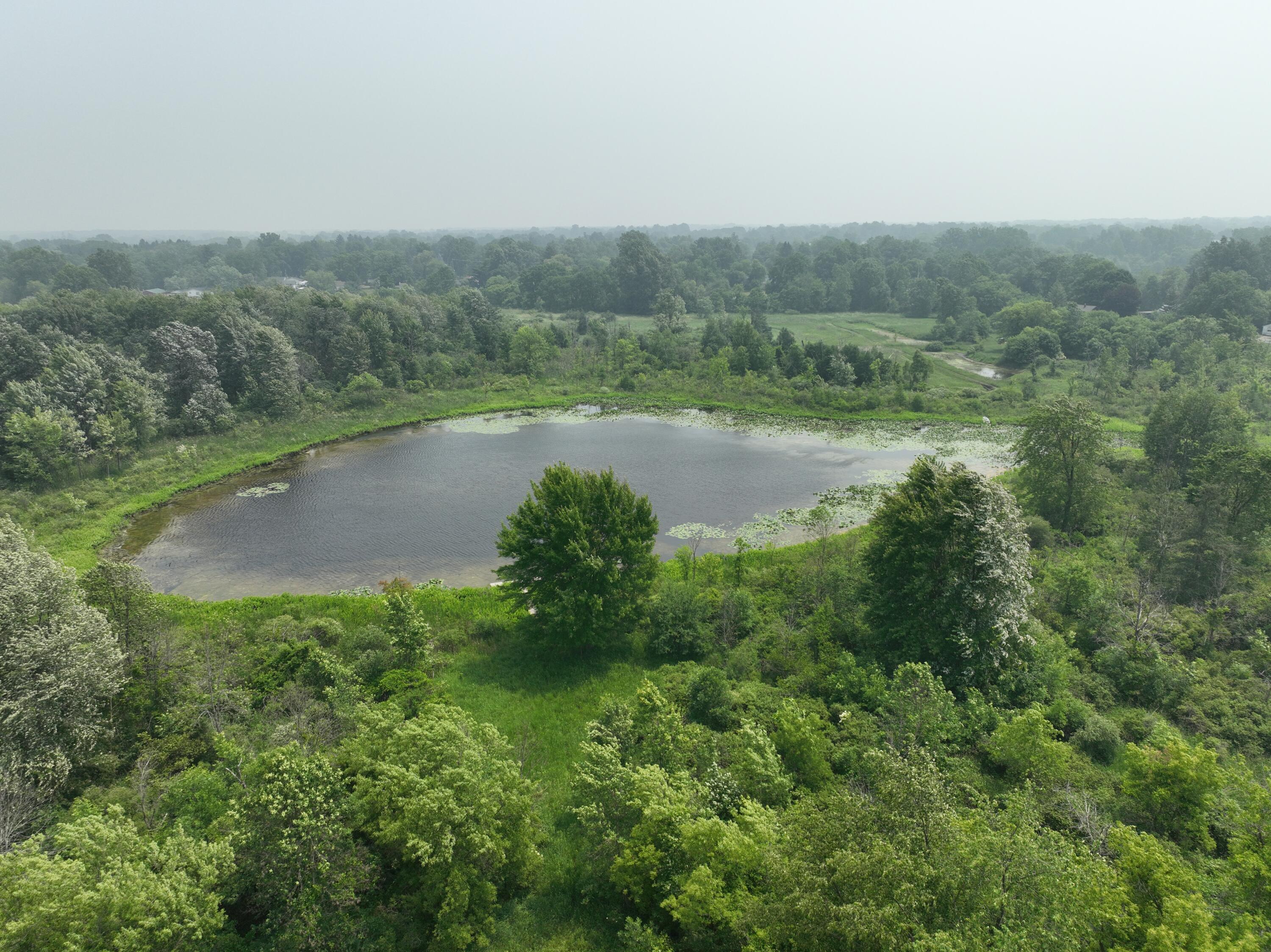 8620 Meridian Road Laingsburg, MI 48848 - Photo 7 of 31 1