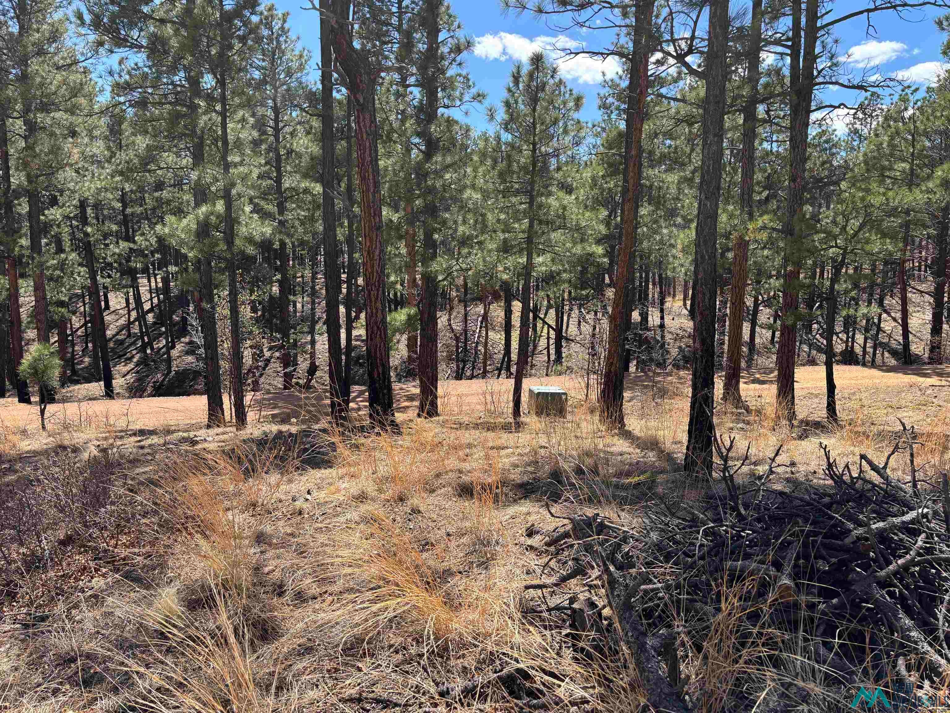 1 Blue Jay Road Rociada, NM 87742 - Photo 14 of 22